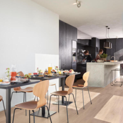 BerryAlloc vinylgolv, Comfort 55, Elite Natural