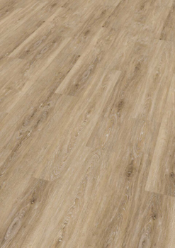 Ter Hürne, Friends Oak Vincent, planka