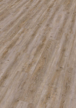 Ter Hürne, Friends Oak Pine Selma, planka