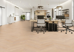 Chevron Edition Pro, Oak Berlin