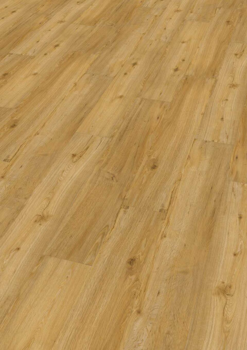 Ter Hürne, HDF - Friends Oak Conny, planka