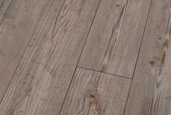 Prignitz Pine Högblank