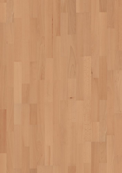 BOEN Strongline Bok Transparent Contract, Parkett