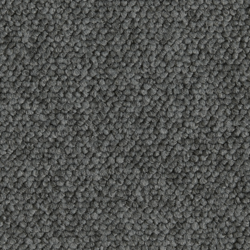 Ege Epoca Family, Mörkgrå