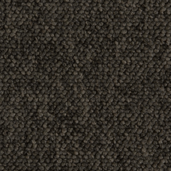 Ege Epoca Family, Gråaktig