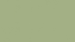 Tarkett LinoWall Olive