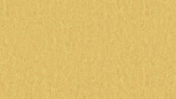 Style Emme xf² Gold