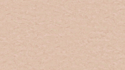 Style Emme xf² Nude