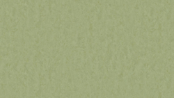 Style Emme xf² Pears