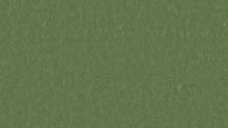 Style Emme xf² Pine