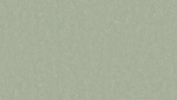 Style Emme xf² Pistage