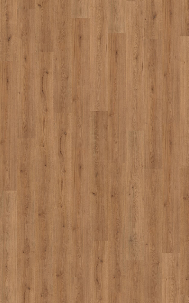 Kronotex Basic Trendline - Ek natur