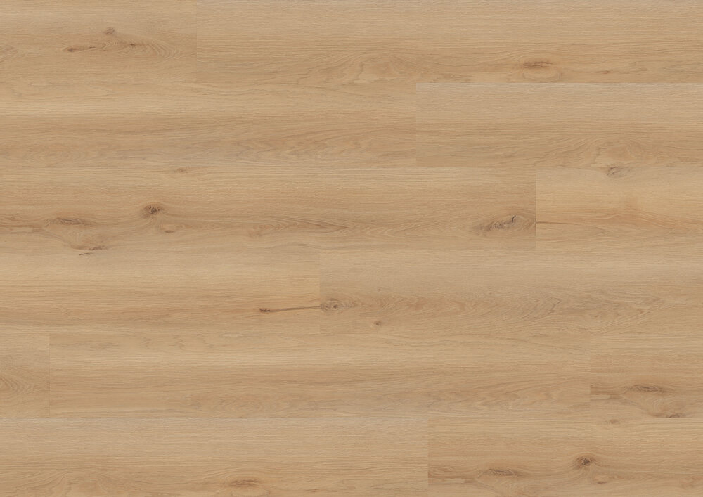 Wood Edition Perform, Lång planka, Ek Rotterdam