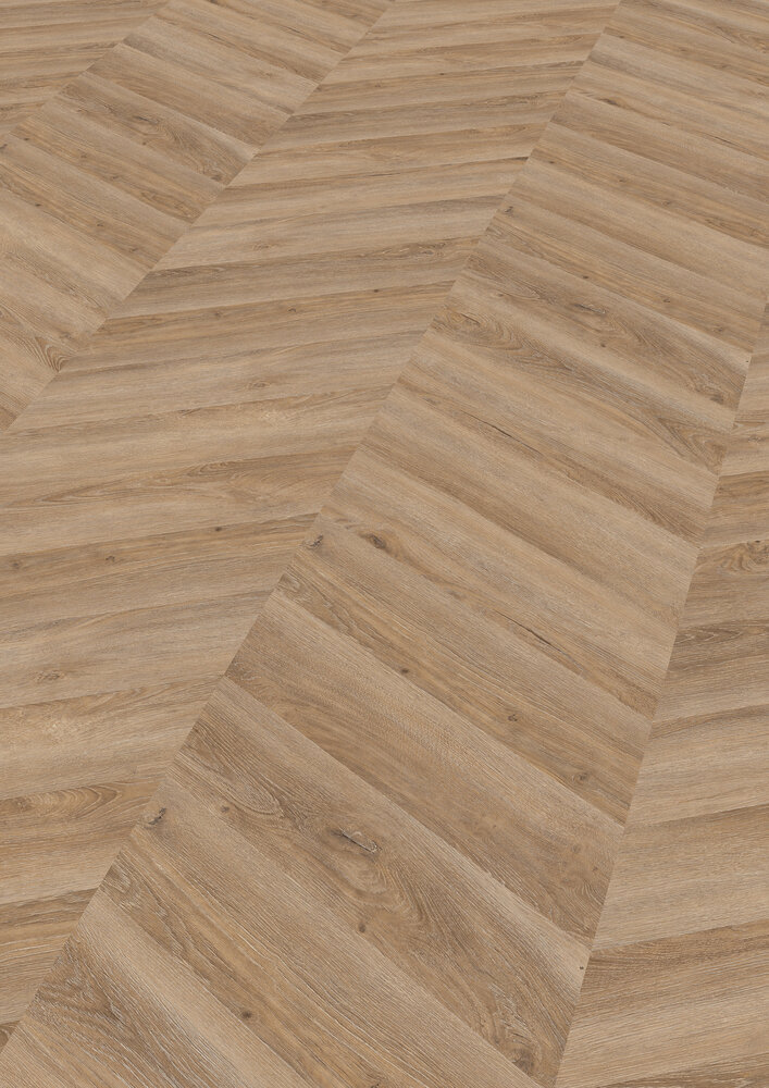 Chevron Edition Pro, Oak Dublin