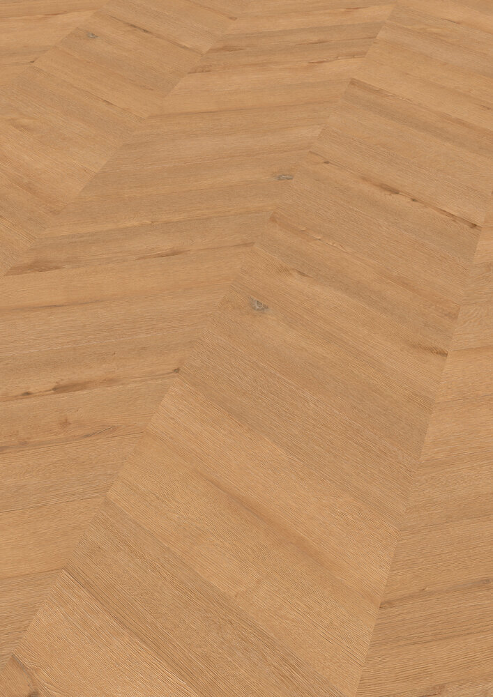 Chevron Edition Perform, Ek Hamburg