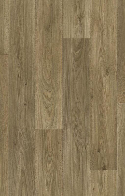 Gambel Oak 669D