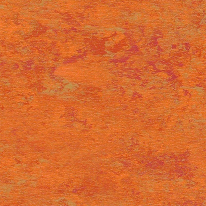 Tarkett Veneto xf² Amber