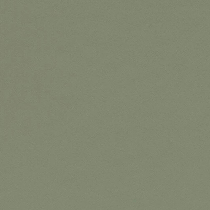 Bordlinoleum - Forbo Furniture Desktop Olive