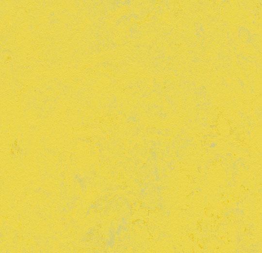 Marmoleum  Concrete - Yellow Glow