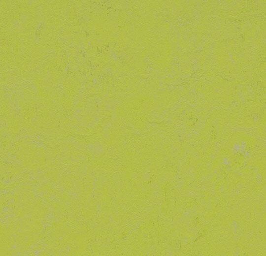 Marmoleum  Concrete - Green Glow