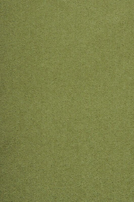 Ljus olivgrön