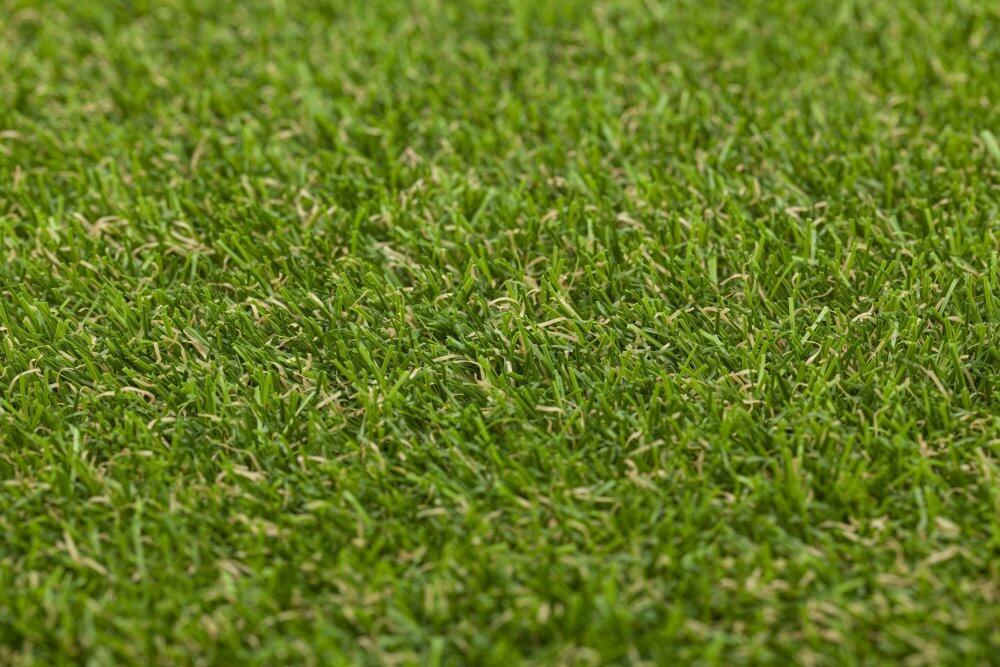 Mona Jungle konstgräs