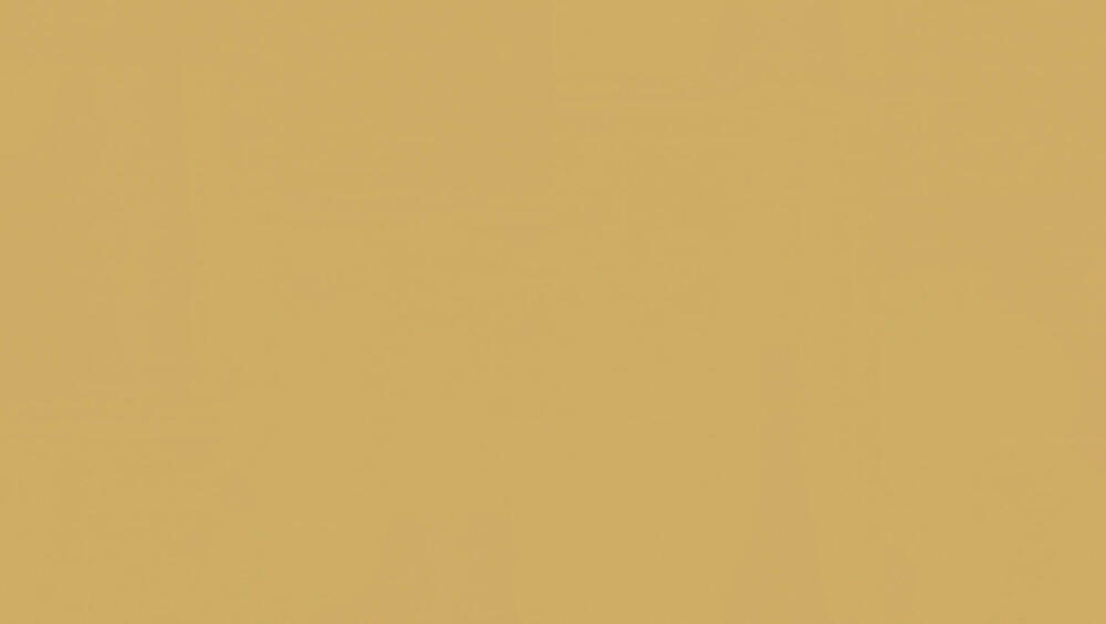 Tarkett LinoWall Honey