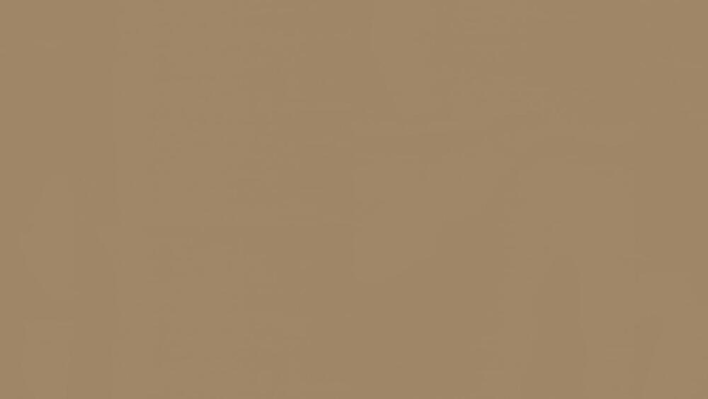 Tarkett LinoWall Kraft