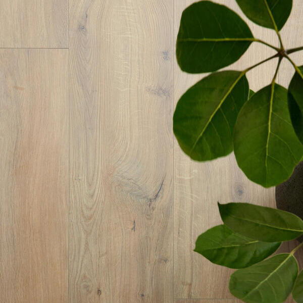 BerryAlloc Ocean+ 12 XL - Gyant Warm Natural