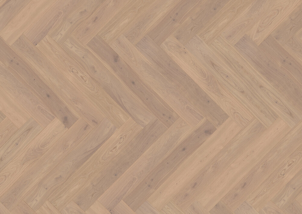 Fiskbenskollektion, Ek Rügen