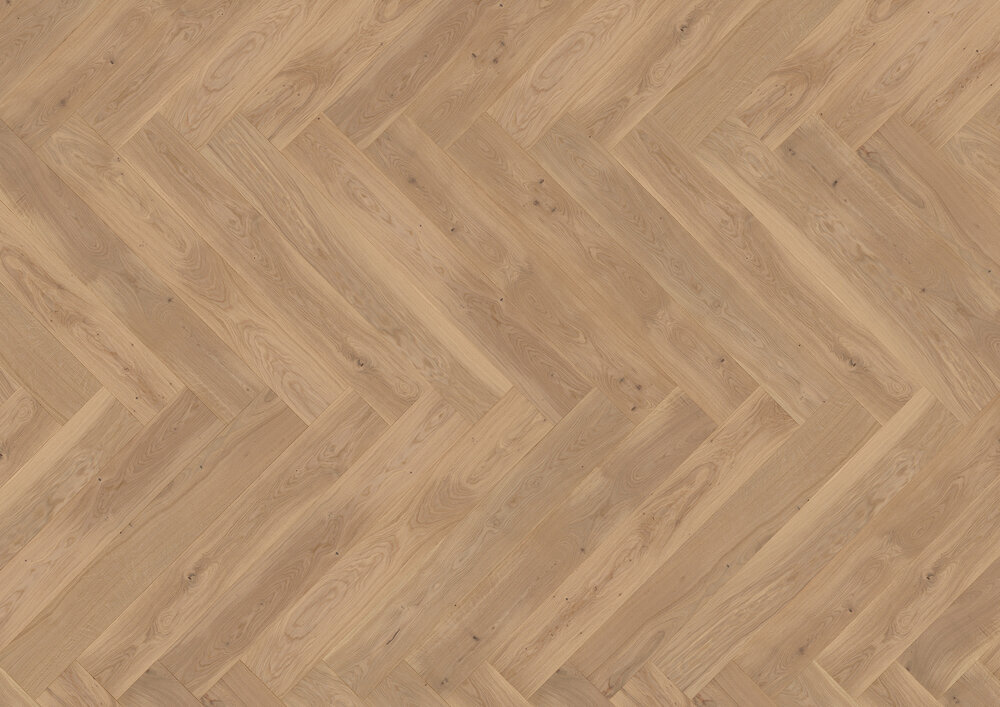 Sillbenskollektion, Ek Vlieland