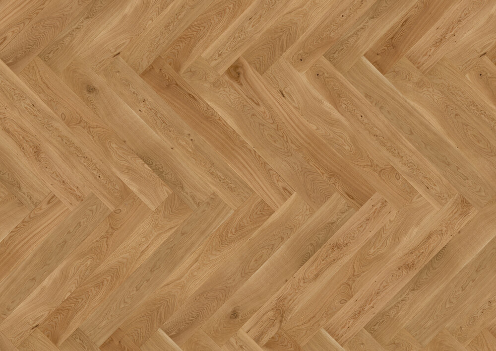 Sillbenskollektion, Ek Texel