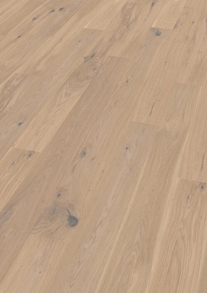 ter Hürne, Tailored Collection, Planka, Ek Cremant