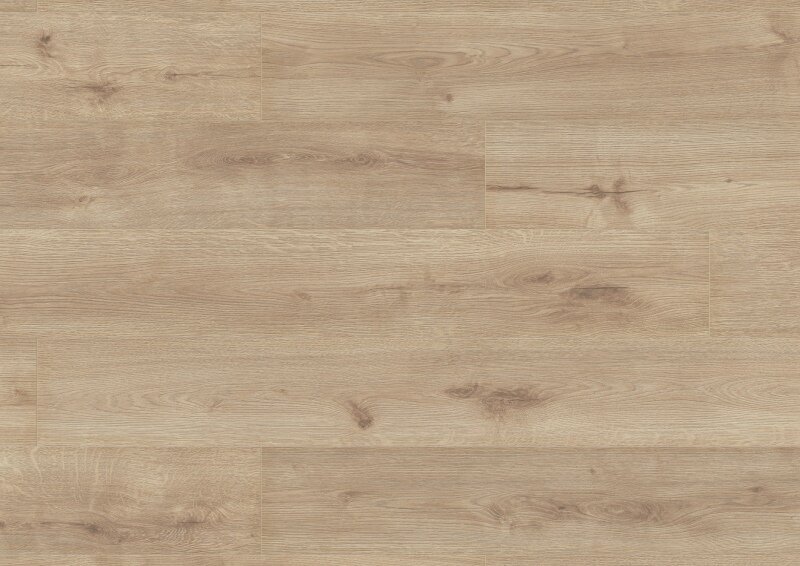 Ter Hürne, Grand Edition, Ek Jersey, Lång planka