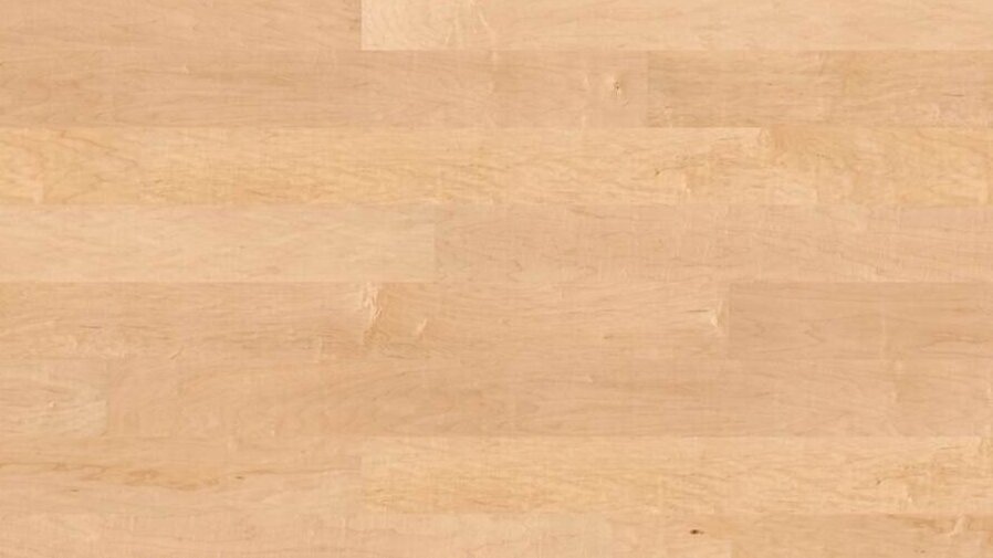 Haro plankgolv - Kanadensisk lönn Markant nD