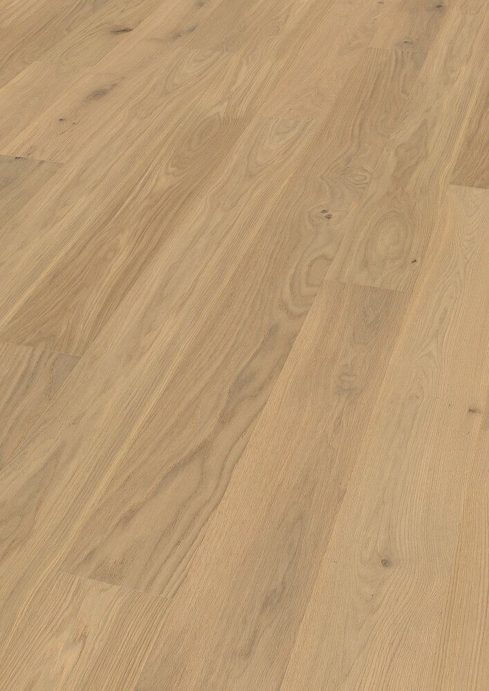 Moods of Provence, Ek Menton