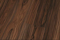 Canyon Moradillo Högblank