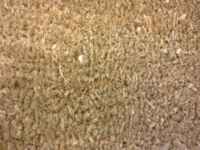 Kokosmattor Natur 20 mm. - REST 50X200 CM