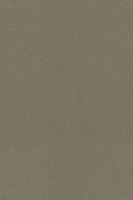 Surestep Original R10